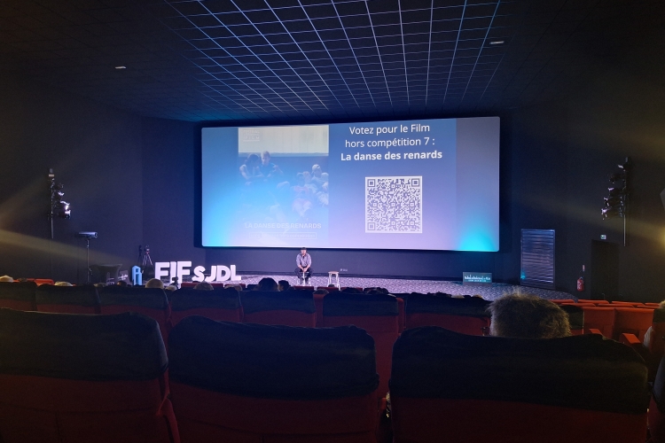 Journées professionnelles Festival International du Film de Saint-Jean-de-Luz 2025