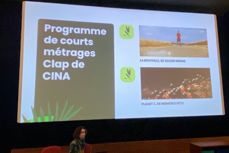 Journée Professionnelle 🌠 Festival les Toiles Filantes 2026