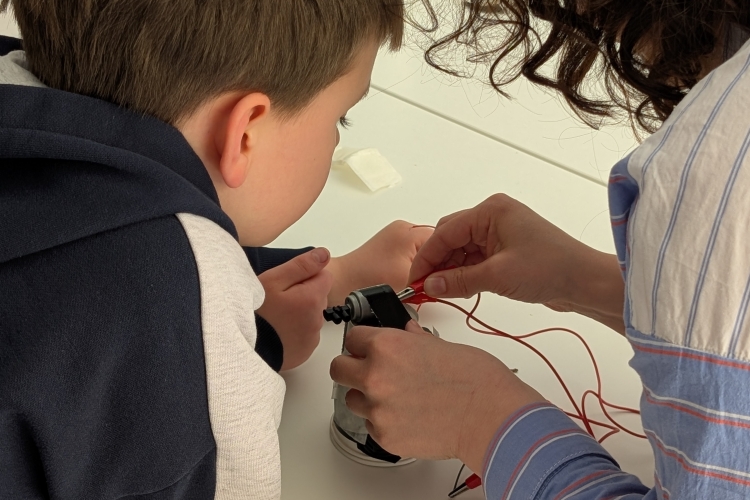 L&rsquo;Odyssée de Céleste