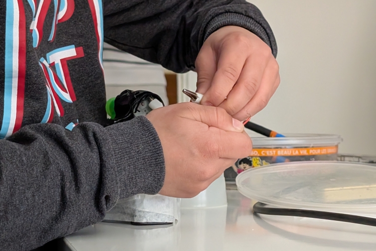 L&rsquo;Odyssée de Céleste