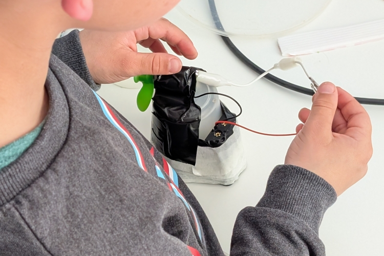 L&rsquo;Odyssée de Céleste