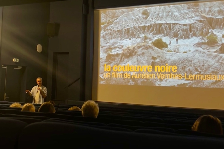 La Couleuvre noire