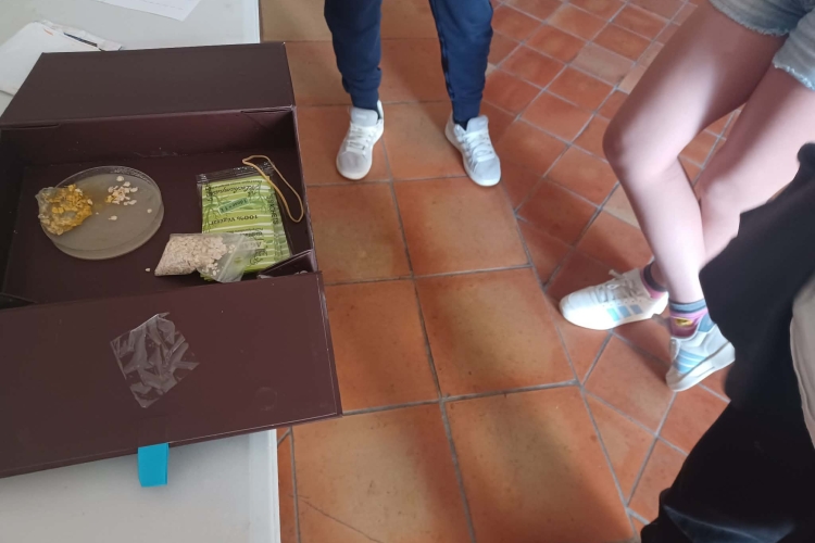 Tournée du co-scénariste et ateliers sciences – 𝙋𝙡𝙖𝙣𝙚̀𝙩𝙚𝙨