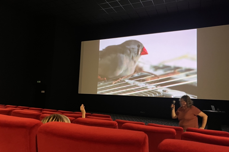 Carmen, l&rsquo;oiseau rebelle